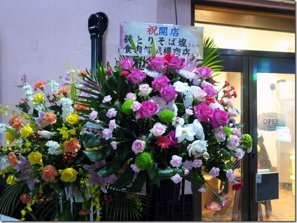 IMG_6528 IMG_6528