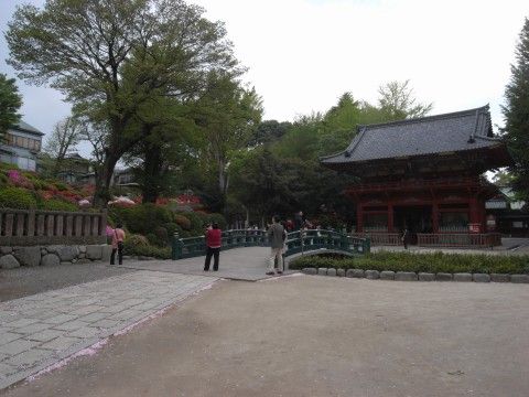 R0013171.JPG R0013171.JPG