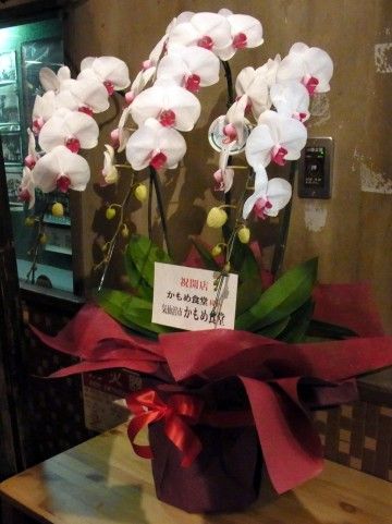 RIMG0466.JPG RIMG0466.JPG