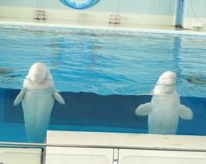 20080818_152058_0.jpg 20080818_152058_0.jpg