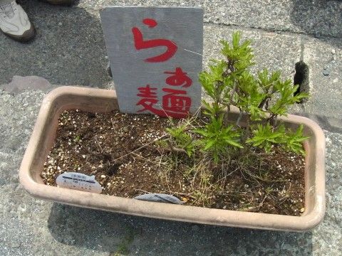 RIMG0282.JPG RIMG0282.JPG