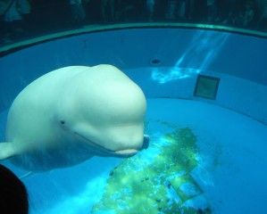 20080818_141822_0.jpg 20080818_141822_0.jpg