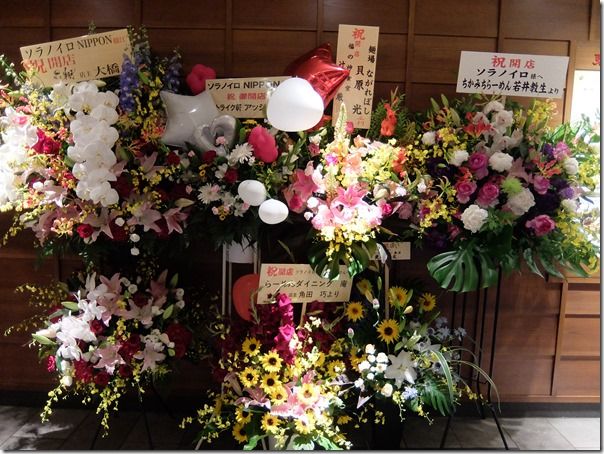 DSCF1115 DSCF1115