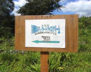 20080909_114241_0.jpg 20080909_114241_0.jpg