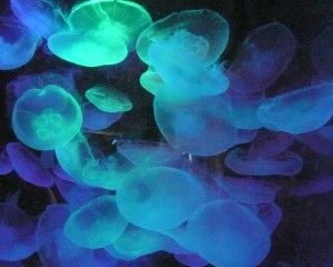 20080818_162145_0.jpg 20080818_162145_0.jpg