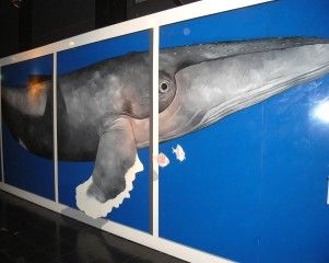 20080908_133132_0.jpg 20080908_133132_0.jpg