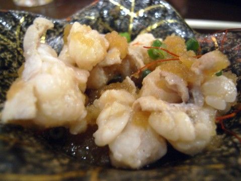 R1089636.JPG R1089636.JPG