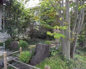 R0018668.JPG R0018668.JPG