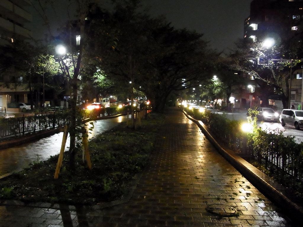 R0017528 R0017528