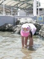 20080818_113705_0.jpg 20080818_113705_0.jpg