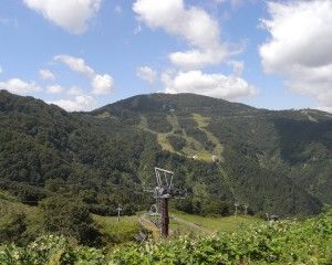 20080909_113205_0.jpg 20080909_113205_0.jpg