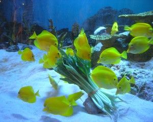 20080818_153940_0.jpg 20080818_153940_0.jpg