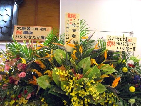 R1100582.JPG R1100582.JPG