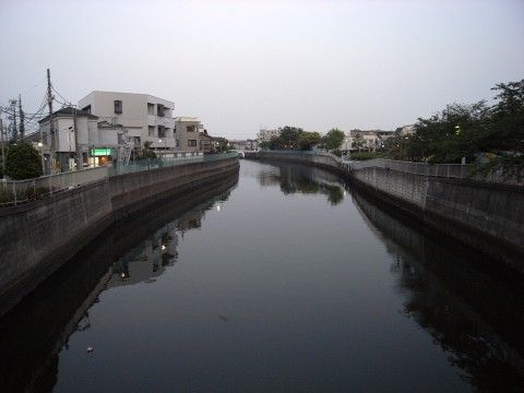 R0013396.JPG