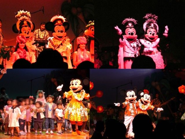 TDL21.jpg TDL21.jpg