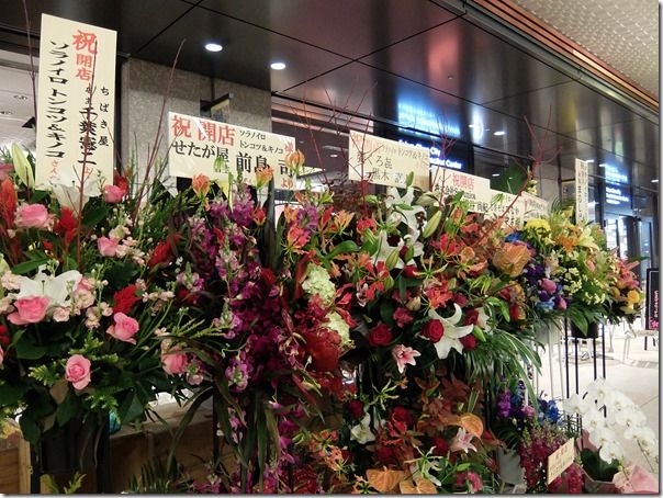 DSCF7603 DSCF7603