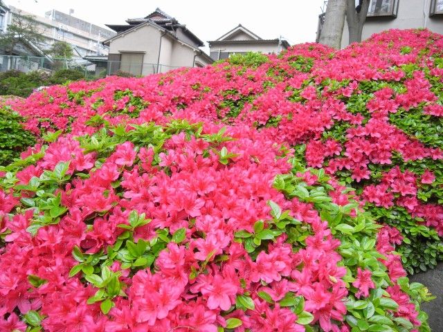 R0013238.JPG R0013238.JPG