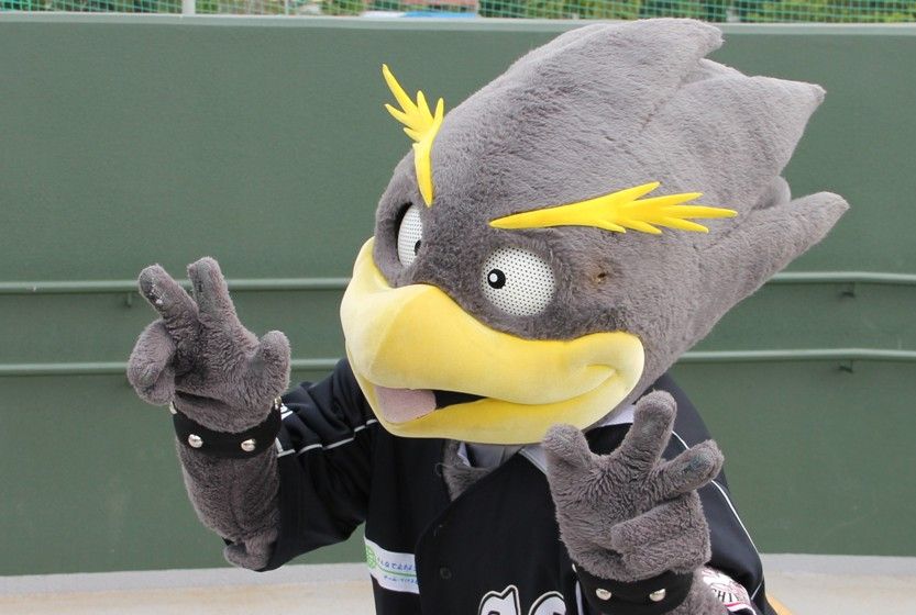 千葉ロッテキャンプ 石垣島第5クール4日目 : 石垣島で暮らす