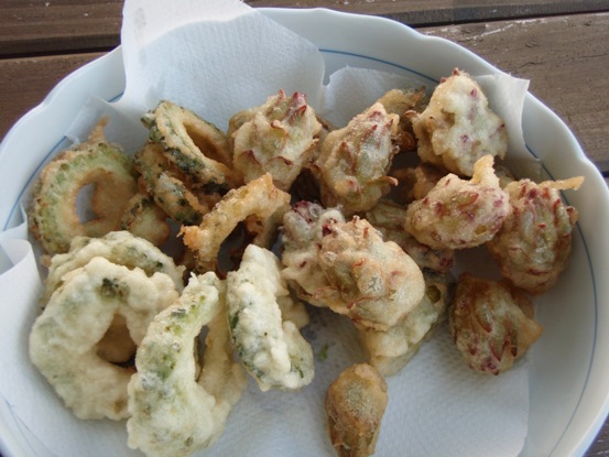 ドラゴンフルーツの蕾の天ぷら 石垣島で暮らす