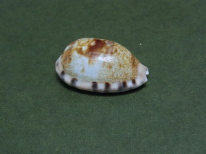 CIMG0730