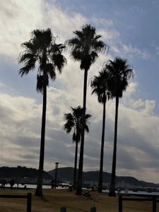 CIMG0304