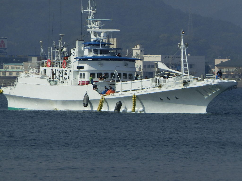 頑張れカツオ船 潮騒が聞こえる Beachboys1997