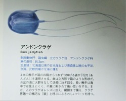 CIMG0994