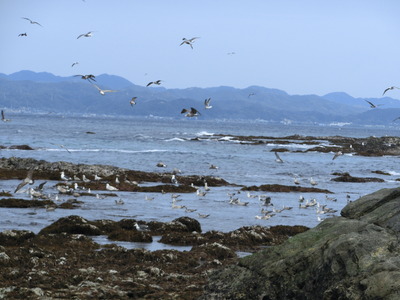 einoura1