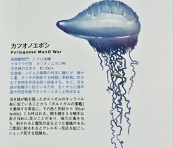 CIMG0999