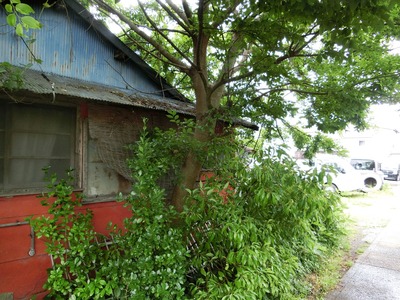 CIMG0378