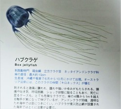 CIMG0995