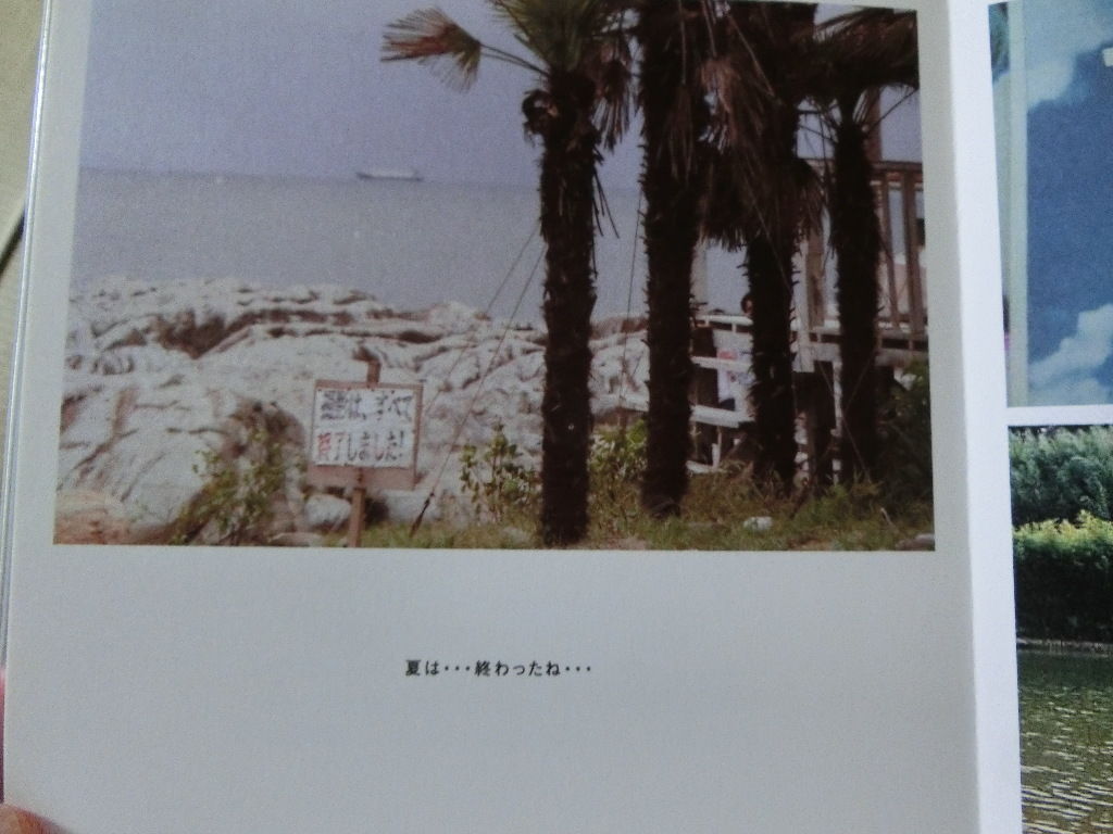1997 Beachboys 潮騒が聞こえる Beachboys1997 1997 Beachboys 潮騒が聞こえる Beachboys1997
