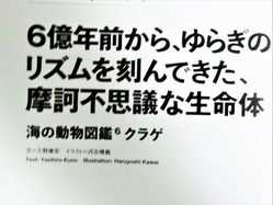 CIMG0990