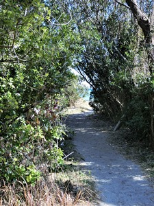 CIMG0344