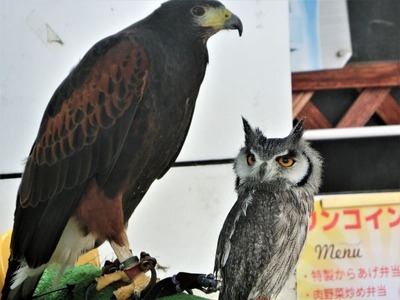 相棒右京＆冠城