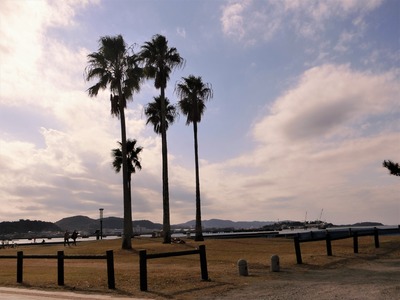 CIMG0305