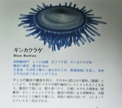 CIMG0997