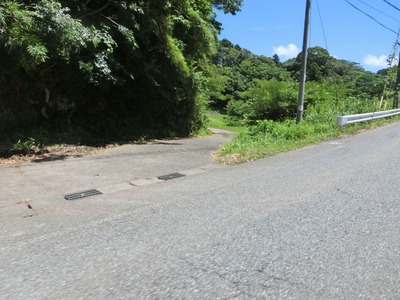 CIMG1198