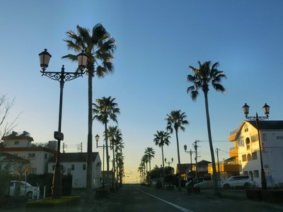 CIMG0513