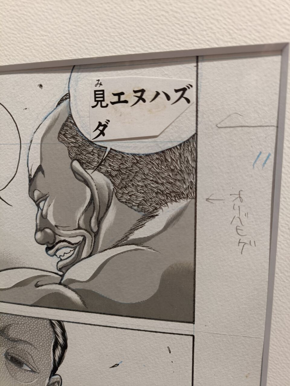 IoqQ