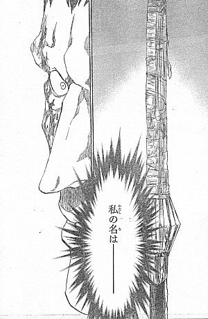 bleach 私の声が聞こえますか 幸福なる終戦と追放される男 いけさんフロムエル bleach 私の声が聞こえますか 幸福なる終戦と追放される男 いけさんフロムエル