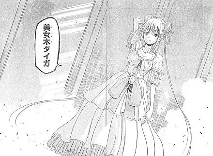 tタイガ10