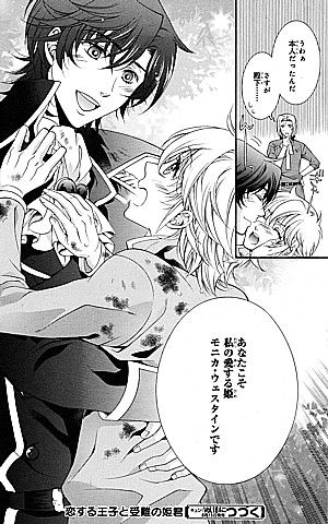 恋する王子と受難の姫君2