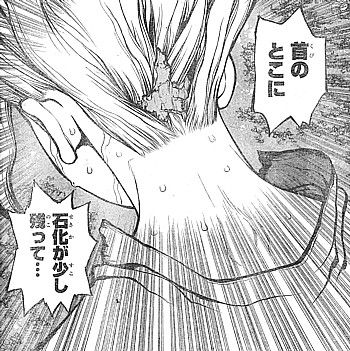 dr stone 昔っからの癖じゃない 残された石化と全員が助かるルール いけさんフロムエル dr stone 昔っからの癖じゃない 残された石化と全員が助かるルール いけさんフロムエル