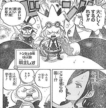one piece 妖精は小人族 狙われた一味とサンジからの緊急連絡 いけさんフロムエル one piece 妖精は小人族 狙われた一味とサンジからの緊急連絡 いけさんフロムエル