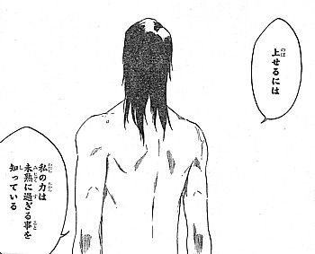bleach 白哉ついに復活 兵主部一兵衛の修業と尸魂界からの使者 いけさんフロムエル bleach 白哉ついに復活 兵主部一兵衛の修業と尸魂界からの使者 いけさんフロムエル