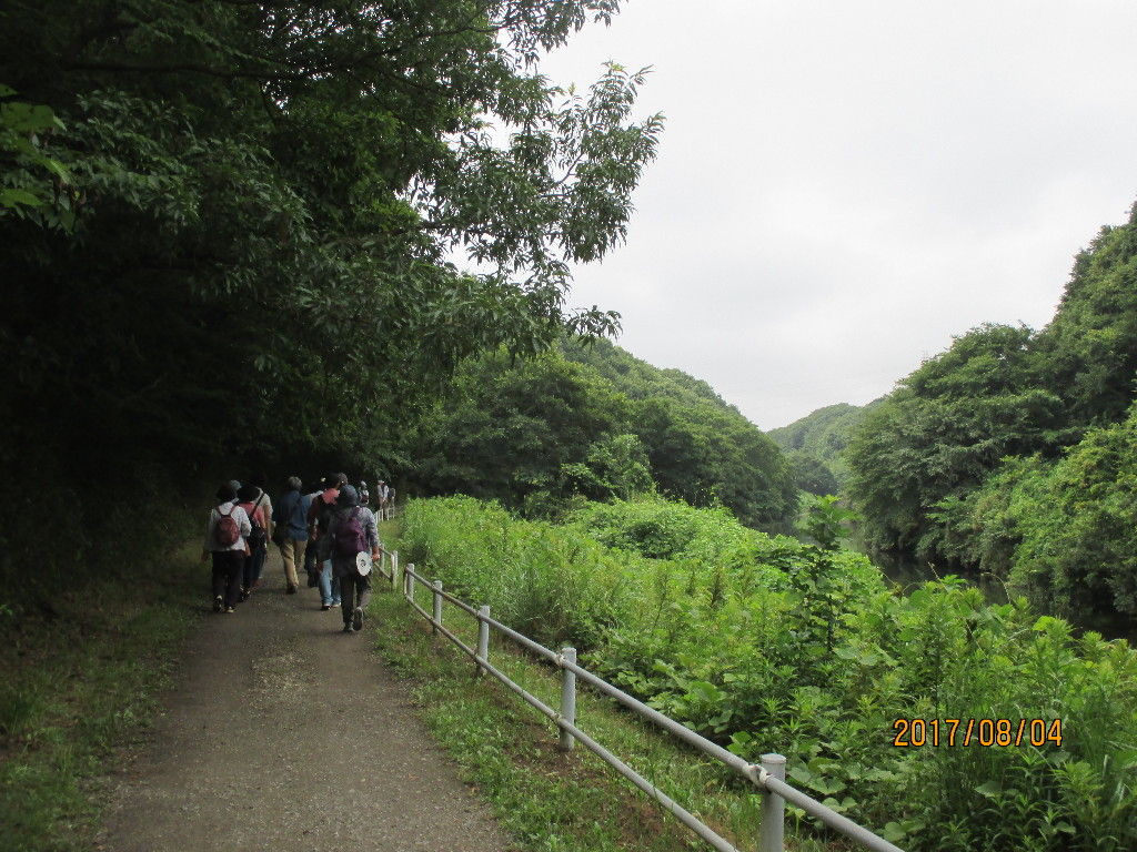 千葉県水道の要 柏井浄水場 を見学しました 池ちゃんと印旛沼 千葉県水道の要 柏井浄水場 を見学しました 池ちゃんと印旛沼