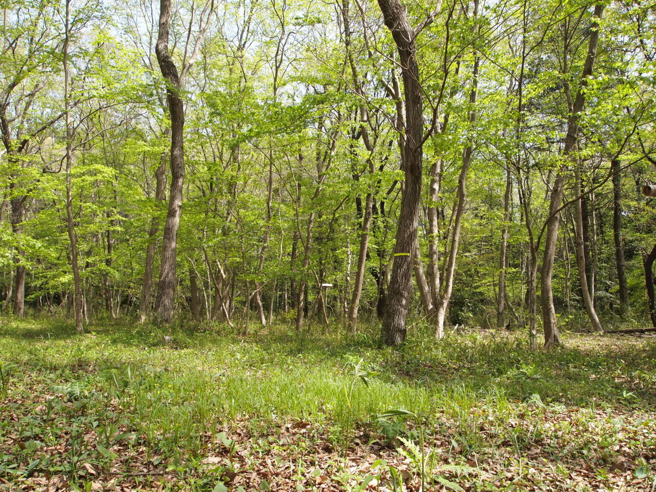 22年09月 池ちゃんと印旛沼