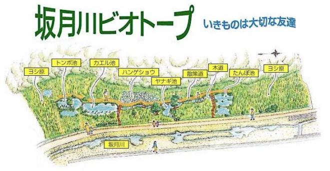 17年08月 池ちゃんと印旛沼 17年08月 池ちゃんと印旛沼