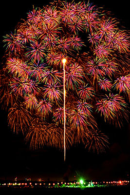 15年07月18日 池ちゃんと印旛沼